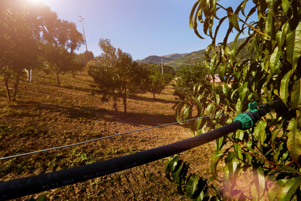 riego campo abierto